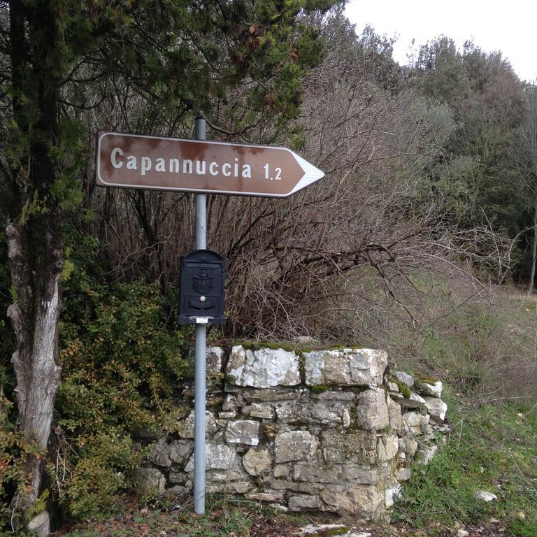 Villa Capannuccia Castellina in Chianti Kültér fotó